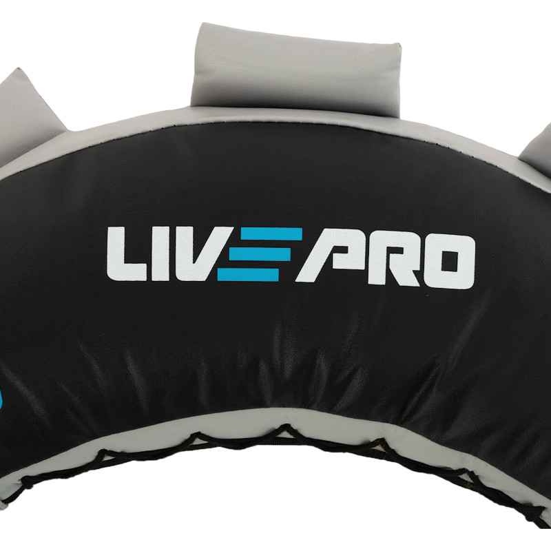 Мішок Болгарський Bulgarian bag LiveUp LP8130-8 8кг чорний-синій