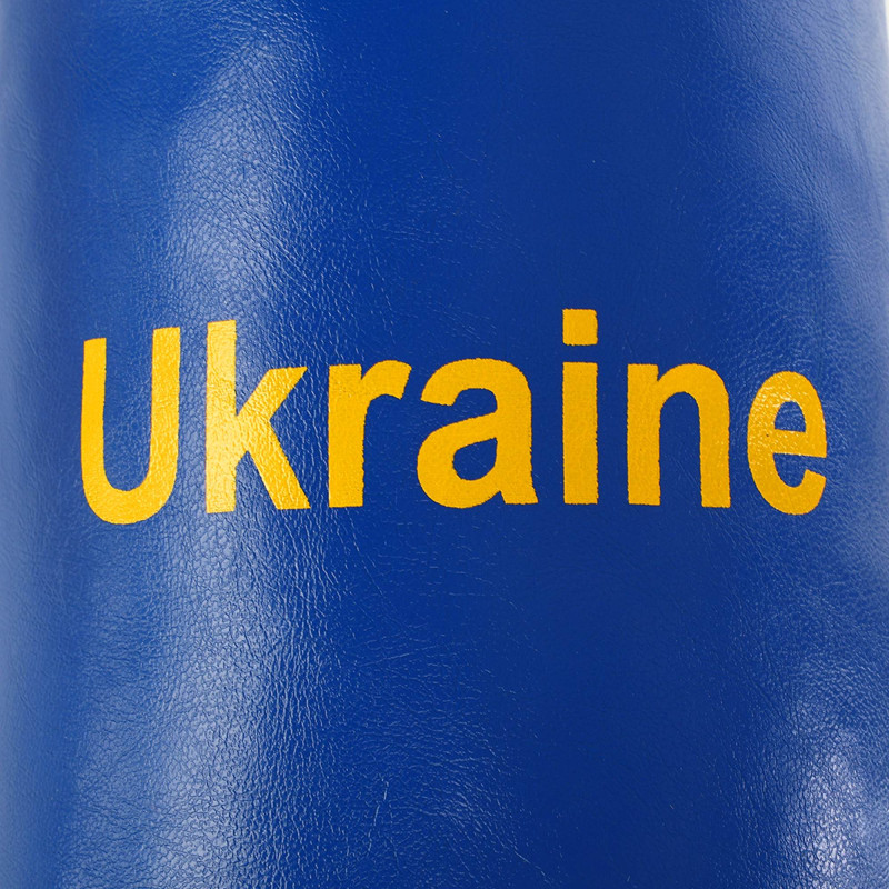 Набір боксерський дитячий груші і рукавички LEV UKRAINE LV-9940 кольори в асортименті