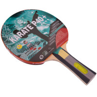Ракетка для настільного тенісу GIANT DRAGON KARATE P40+ 4star MT-5691 ST12402P