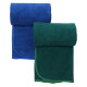 Рушник спортивний з мікрофібри в чохлі TERRY TOWEL 4Monster T-EFT-100 50х100см кольори в асортименті
