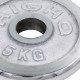 Бліни диски хромовані HIGHQ SPORT TA-1802-5B 52мм 5кг хром