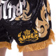 Шорти для тайського боксу та кікбоксингу TOP KING TKTBS-062 XS-XXL кольори в асортименті