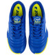 Сороконіжки футбольні дитячі Joma TOLEDO TOJW2504TF розмір 29-37 синій