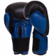 Боксерські рукавиці UFC PRO Compact UHK-75001 S-M синій-чорний