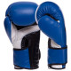 Боксерські рукавиці UFC PRO Fitness UHK-75037 16 унцій синій