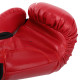 Боксерські рукавиці MIKE TYSON VL-4544 10-14унцій кольори в асортименті