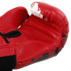 Боксерські рукавиці MIKE TYSON VL-8448 10-14 унцій кольори в асортименті