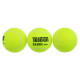 М'ячі для падел-тенісу TELOON PADEL PRO+ WZPA818003-PRO TP-8183 3шт салатовий