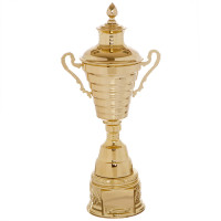 Кубок спортивний нагородний SP-Sport Joy XB107C висота 41см золотий